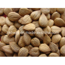 Sweet Almond (youyi 680 PCS/500g)